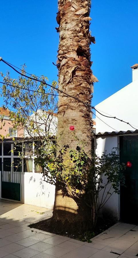 Casa Da Forja Otel Pinhal Novo Dış mekan fotoğraf